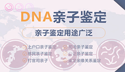 天津可以做DNA亲子鉴定吗[免费咨询]，天津做亲子鉴定基本流程