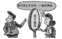 天津个人亲子鉴定准确性高吗