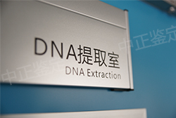天津权威户籍亲子鉴定机构哪有