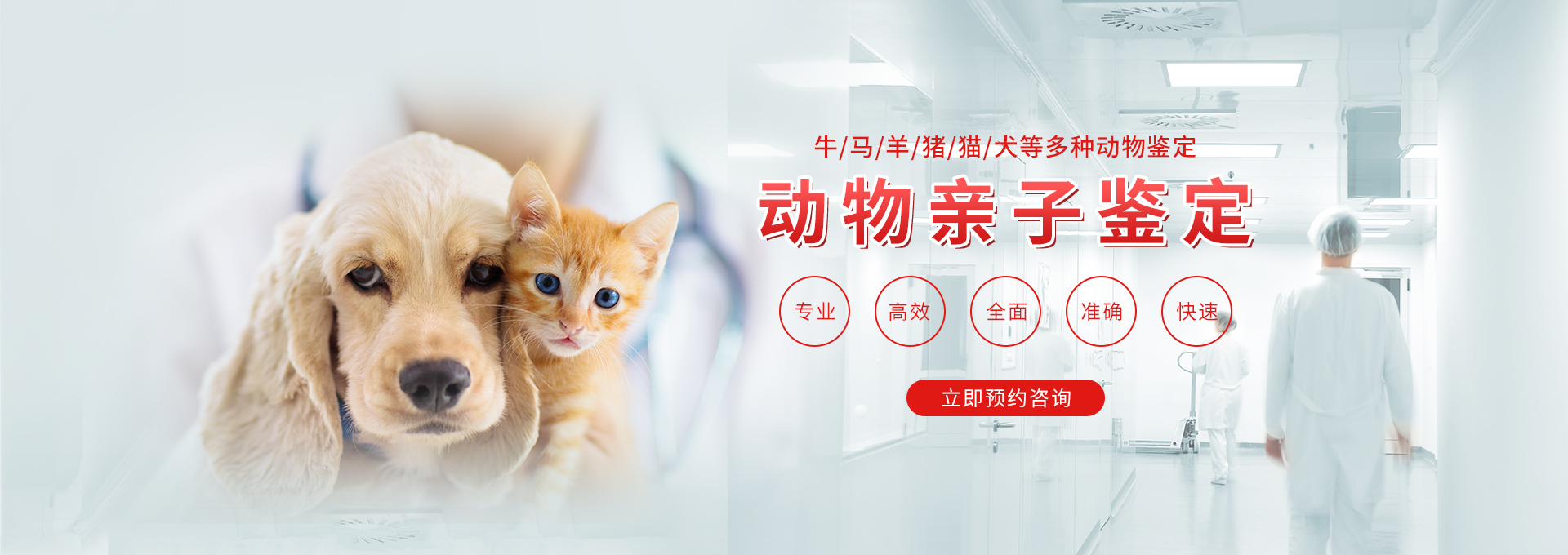 天津动物鉴定